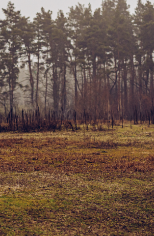 Pajero Sportbackground